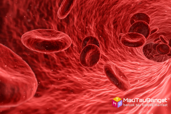 3 makanan ini akan membersihkan pembuluh darah dan menurunkan kolesterol dengan cepat